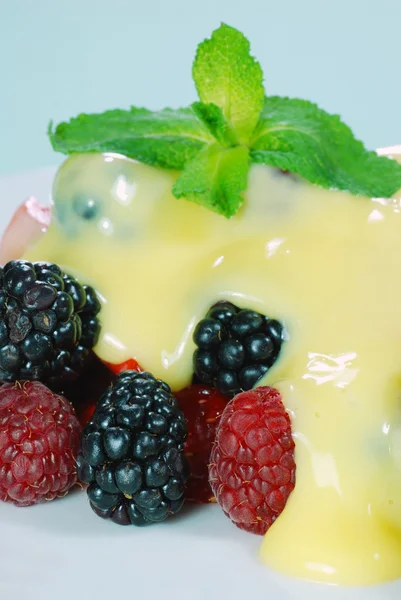 Nahaufnahme gemischte Früchte mit Pudding — Stockfoto