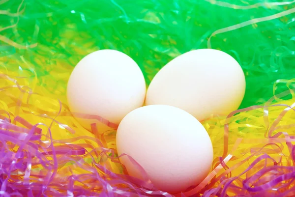 Huevos en un nido — Foto de Stock