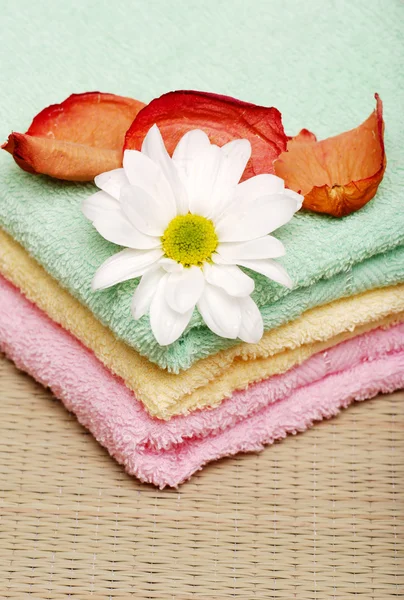 Handtücher mit Gänseblümchen und Rosenblättern — Stockfoto