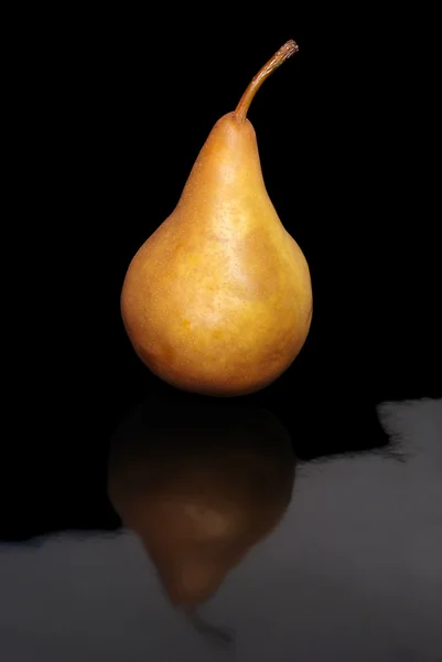 Bosc pear on black — Stock Photo, Image