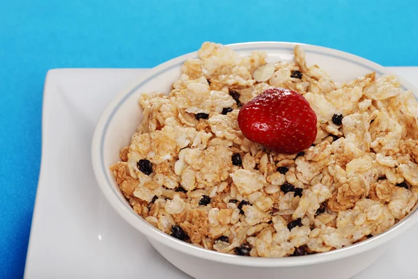 Closeup bowl of cereal with blueberries — Stock Photo, Image