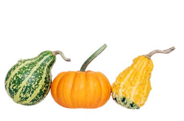 Three gourds clipart