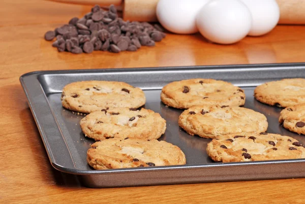 Fresh baked cookies on a cookie sheet — Stock Photo, Image