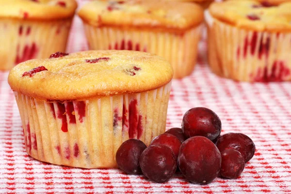 Färsk ugnsbakad citron cranberry muffins — Stockfoto