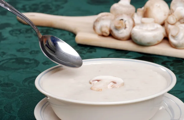 stock image Fresh cream of mushroom soup