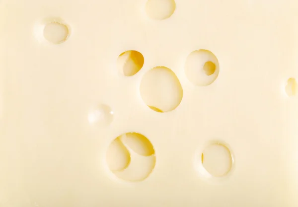 Closeup queijo suíço — Fotografia de Stock
