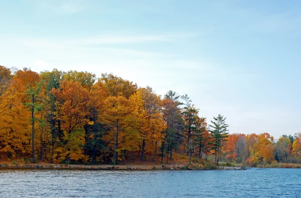 湖の横にある自然のパス — ストック写真