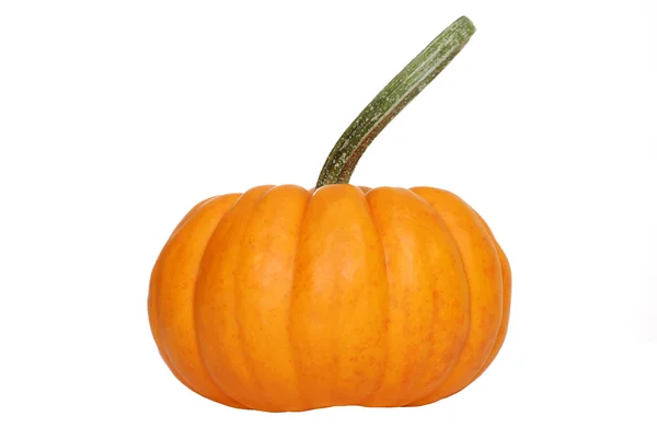 Гарбуз gourd — стокове фото