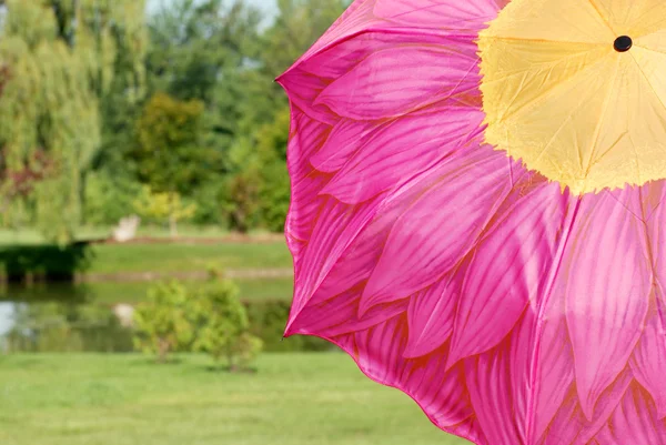 Färgglada flower paraply i en park — Stockfoto