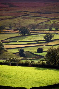 Yorkshire dales in evening sunlight clipart