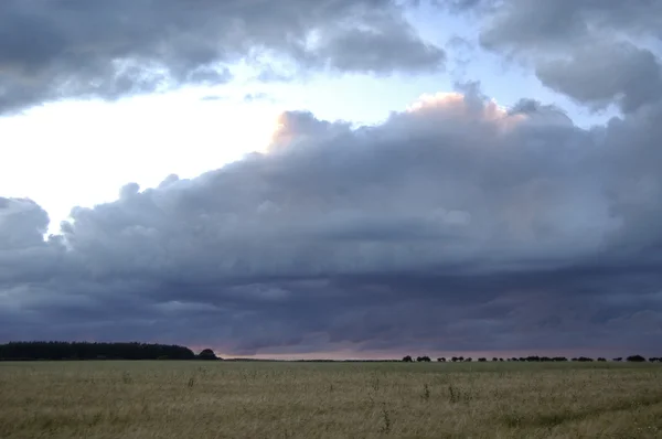 stock image Evening cloudscape