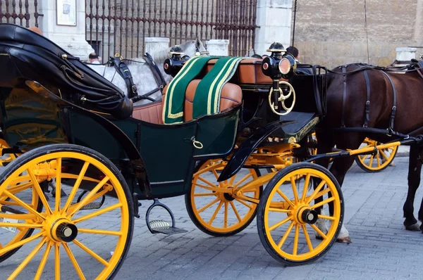 stock image Beautiful carriage