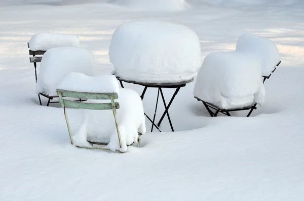 stock image Winter in the garden