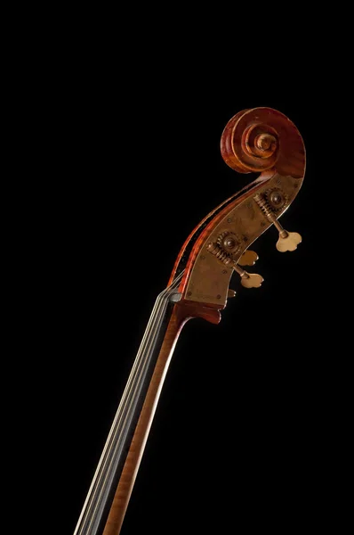stock image Cello