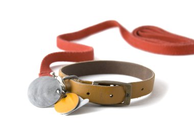 Collar with tags clipart