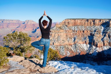 Lotus at Grand Canyon clipart