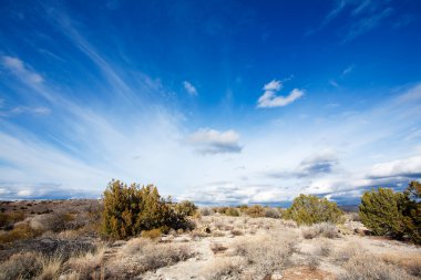 Arizona high desert clipart