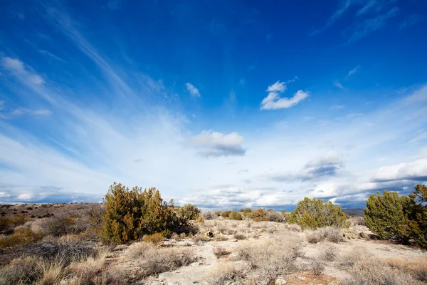 Arizona deserto alto — Foto Stock