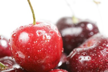 Cherries clipart