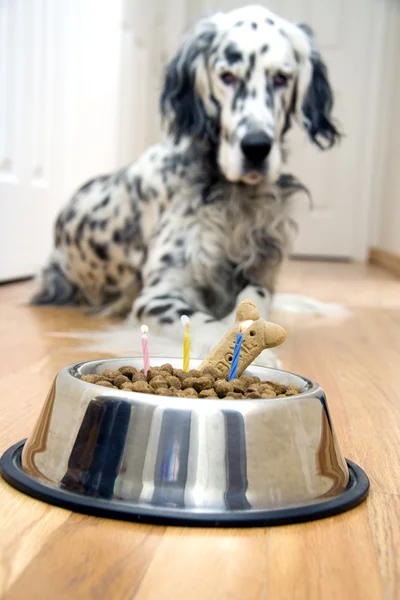 My best friend's birthday — Stock Photo, Image