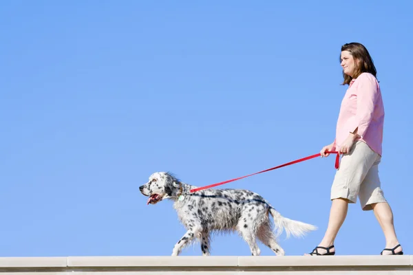 Girl with the dog — Stock Photo, Image