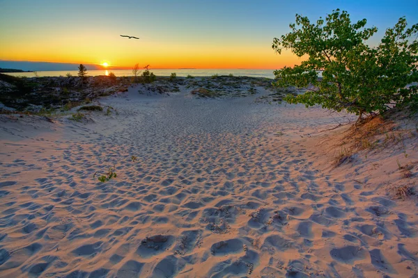Michigan günbatımı — Stok fotoğraf