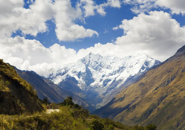 In the Andes — Stock Photo, Image