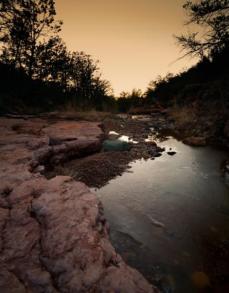 Donmuş creek — Stok fotoğraf