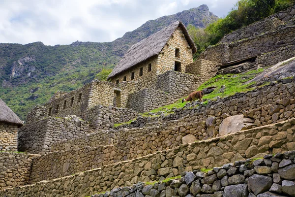 Machu Picchu Torhaus — Stockfoto