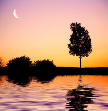 Sunset tree clipart