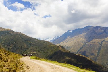 On the road in Andes clipart