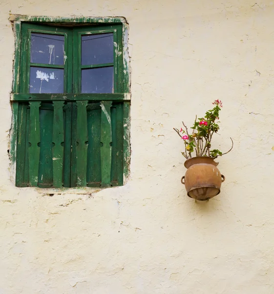 Pencere ve çiçekler — Stok fotoğraf