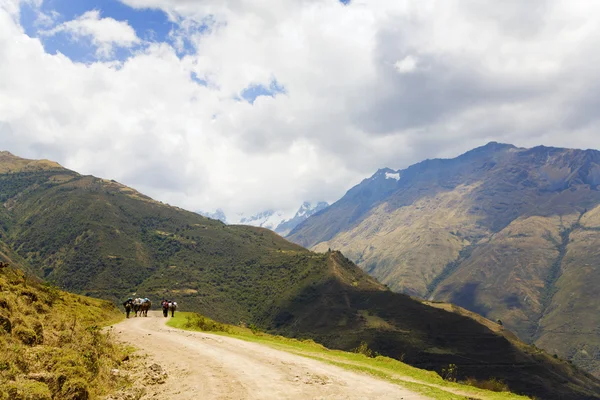 On the road in Andes — Stock Photo, Image