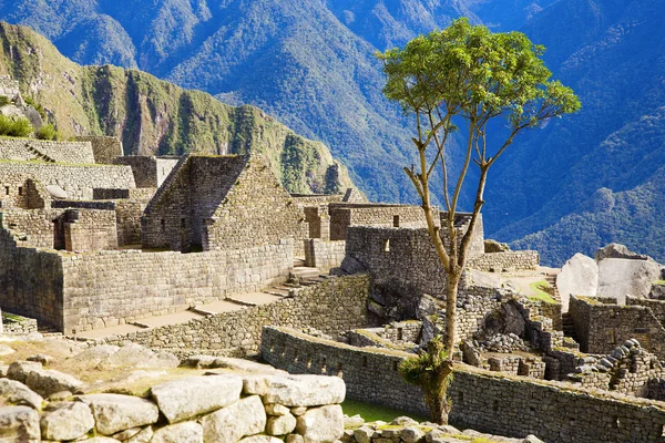 Casas de Machu Picchu — Fotografia de Stock