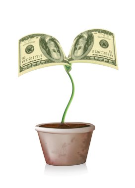 100 dollars sprout clipart