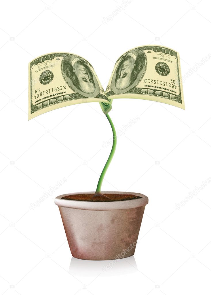 100 dollars sprout