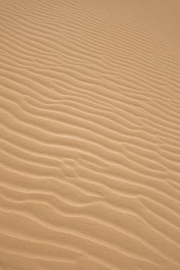 Ripples in the sand clipart