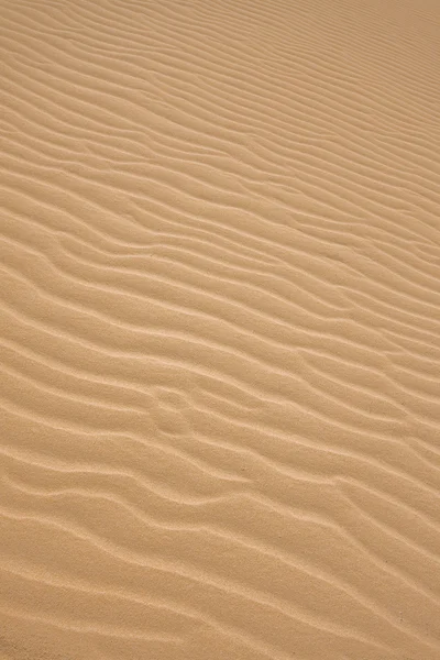 stock image Ripples in the sand