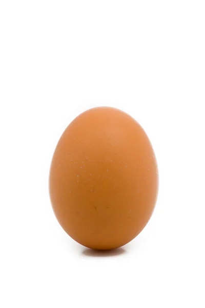 Um único ovo fechar — Fotografia de Stock