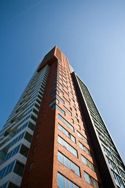 Rotterdam skyscraper — Stock Photo, Image