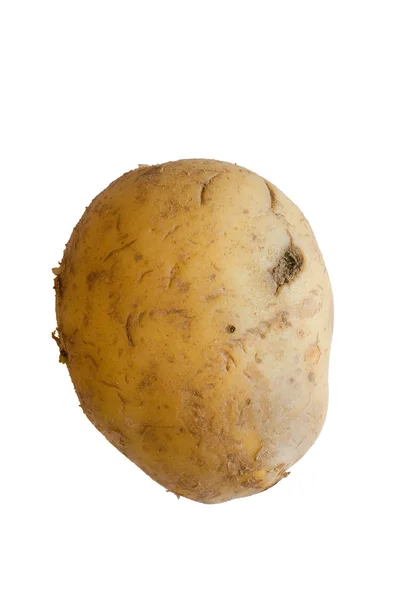 stock image A potato isolated on white