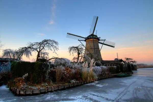 Holland szélmalom-kert — 스톡 사진