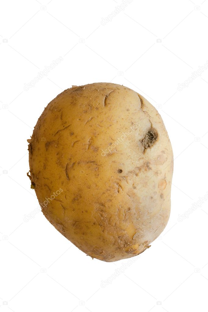 A potato isolated on white
