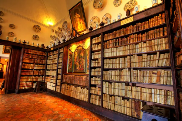 Uma biblioteca antiga — Fotografia de Stock