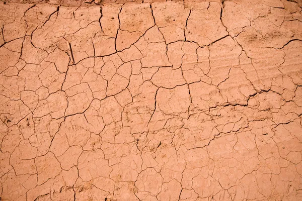 Dry cracked ground texture — Stock Photo, Image