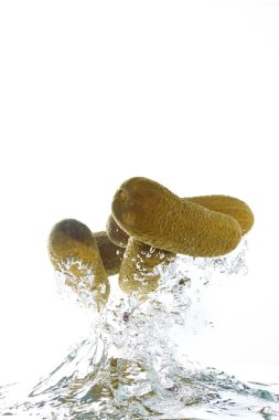 Pickles jumping out of the clear water clipart