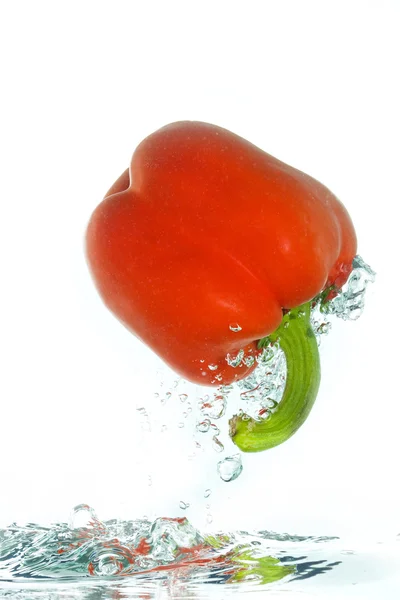 Ein Paprika springt aus dem Wasser — Stockfoto