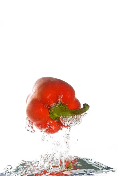 A paprika jumping out of the clear water — Stock Photo, Image