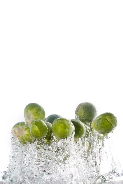 Brussels sprouts jumping — Stock fotografie