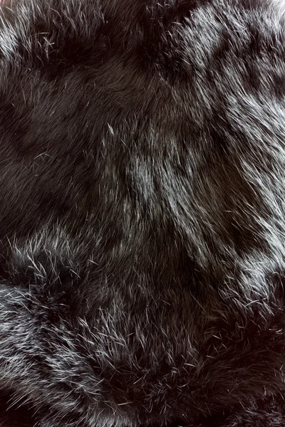 Текстура меха крупным планом — стоковое фото